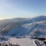 公寓 Rytilammenmaeki Ruka By In Lapland